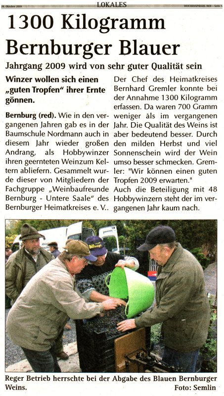 Pressebeitrag Wochenspiegel '1300 Kilogramm Bernburger Blauer'